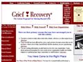 2407social service and welfare organizations Grief Recovery Institute