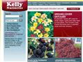 2497mail order and catalog shopping Kelly Nurseries