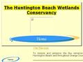 Huntington Beach Wetland