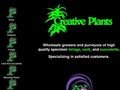 Creative Plants Interior