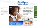 Culligan Water Co Of Atlanta