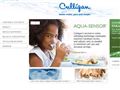 Culligan Water Products