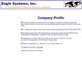 1363government contract consultants Eagle Systems Inc