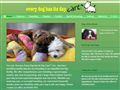 Every Dog Has Its Day Care Inc