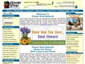 Flower Shop Network Inc