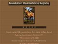 Foundation Quarter Horse
