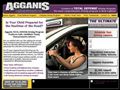 Agganis Driving School Inc