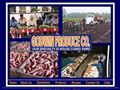 2841fruits and vegetables growers and shippers Godwin Produce Co
