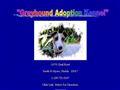Greyhound Adoption Kennel