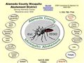 Alameda Mosquito Abatement