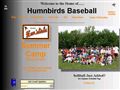 Humn Birds Baseball